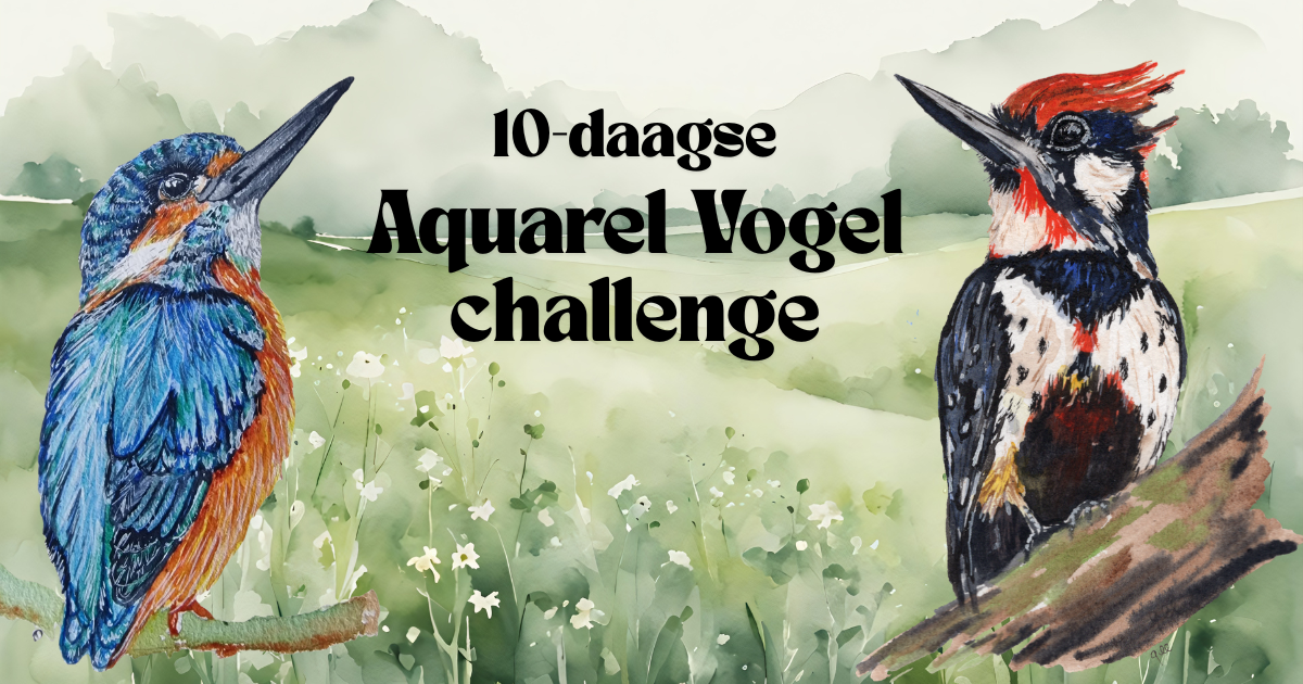 10-daagse aquarel vogel challenge