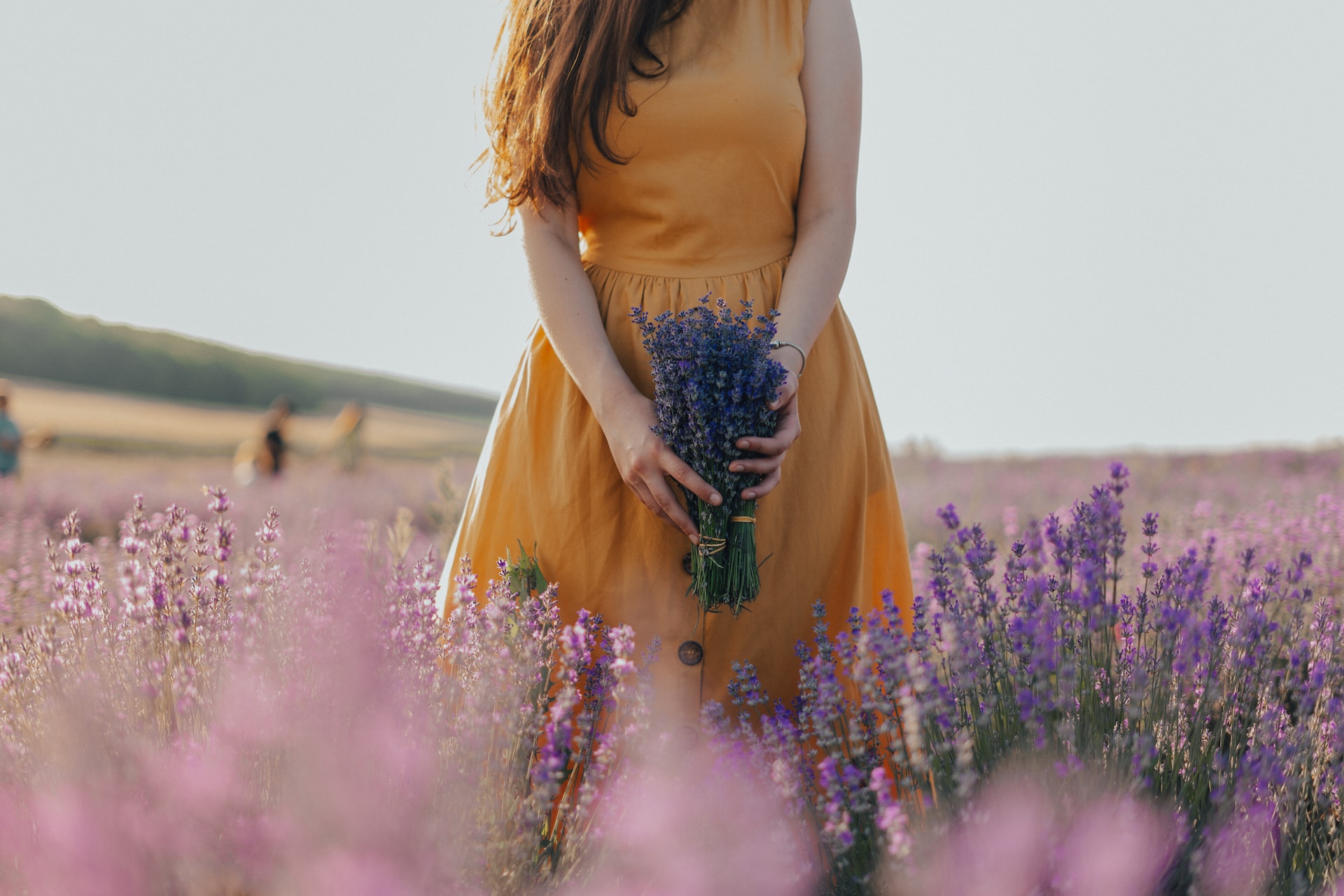 Kruid & Kunst: Lavendel proefles