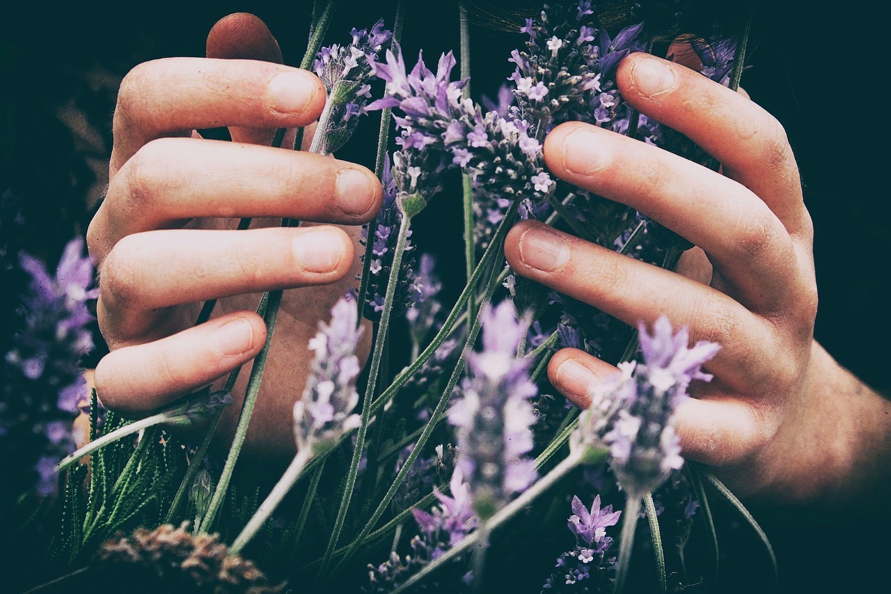 Kruidenpost Lavendel